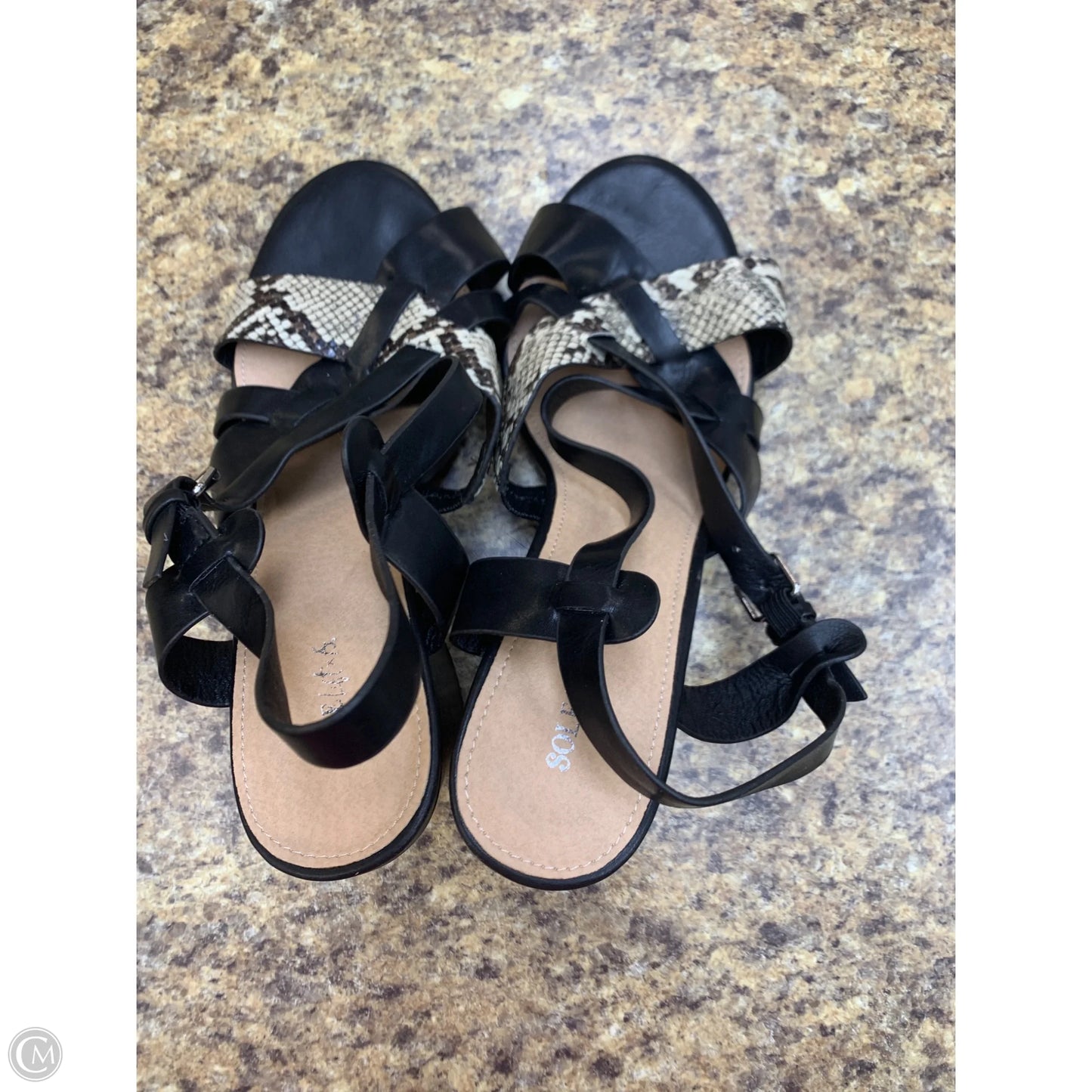 Shoes Heels Block By Cmf In Black, Size: 11