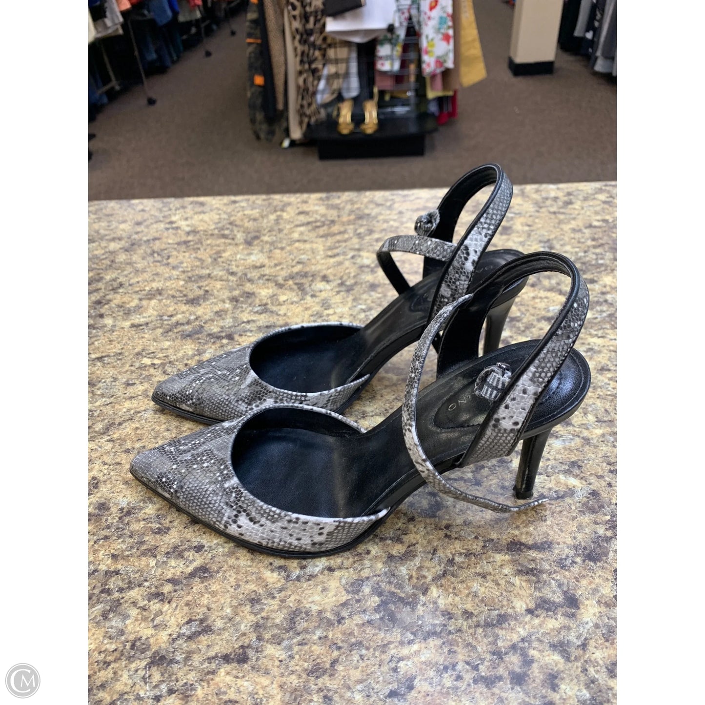 Shoes Heels Kitten By Bandolino In Black & White, Size: 8
