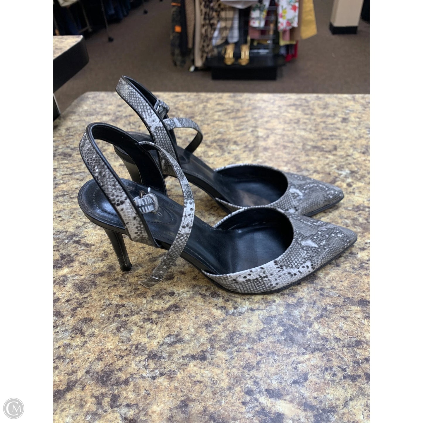 Shoes Heels Kitten By Bandolino In Black & White, Size: 8