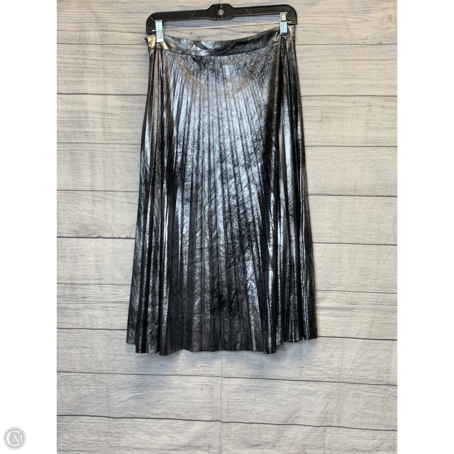 Skirt Maxi By Romeo And Juliet In Silver, Size: M