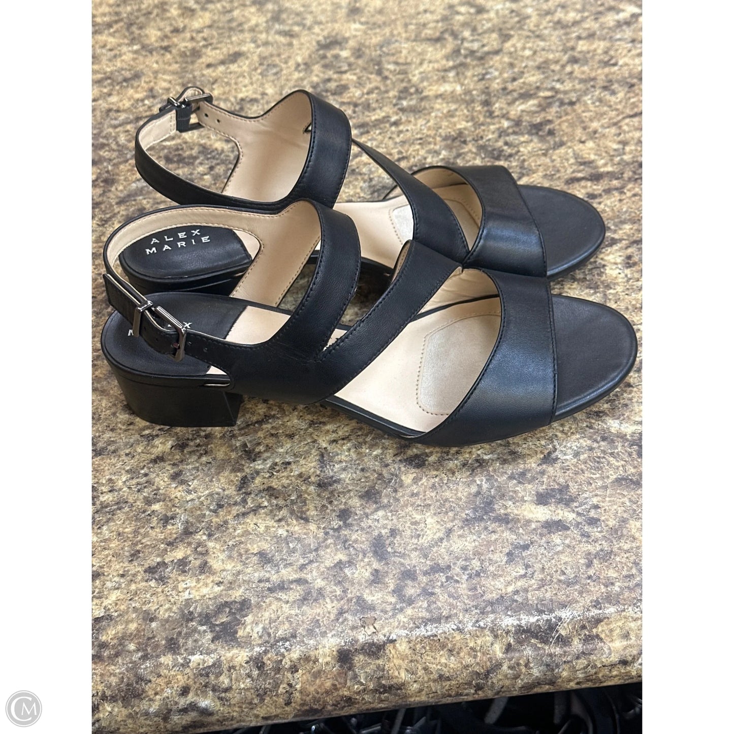 Shoes Heels Block By Alex Marie In Black, Size: 10