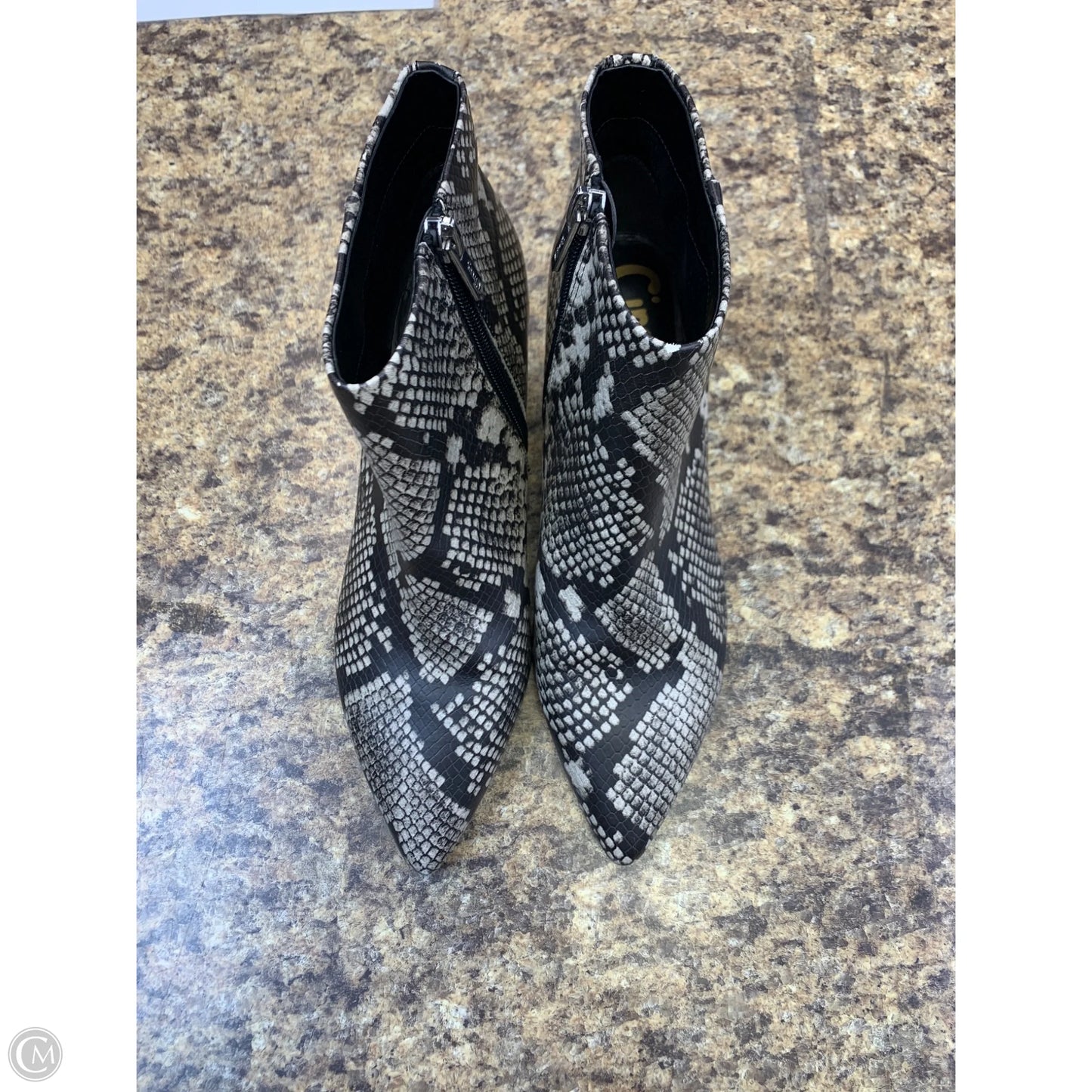 Boots Ankle Heels By Circus By Sam Edelman In Snakeskin Print, Size: 8