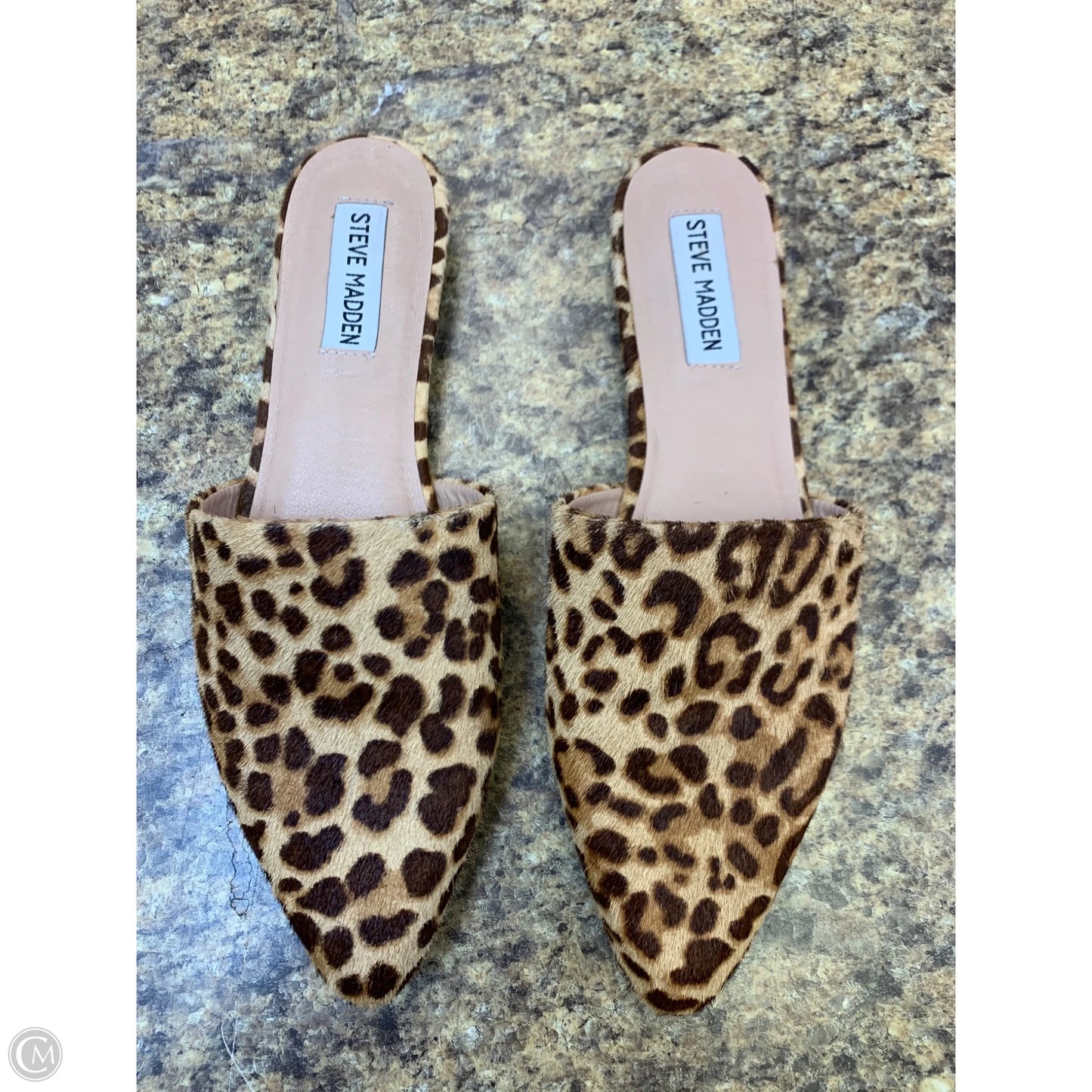 Shoes Flats By Steve Madden In Animal Print, Size: 8.5