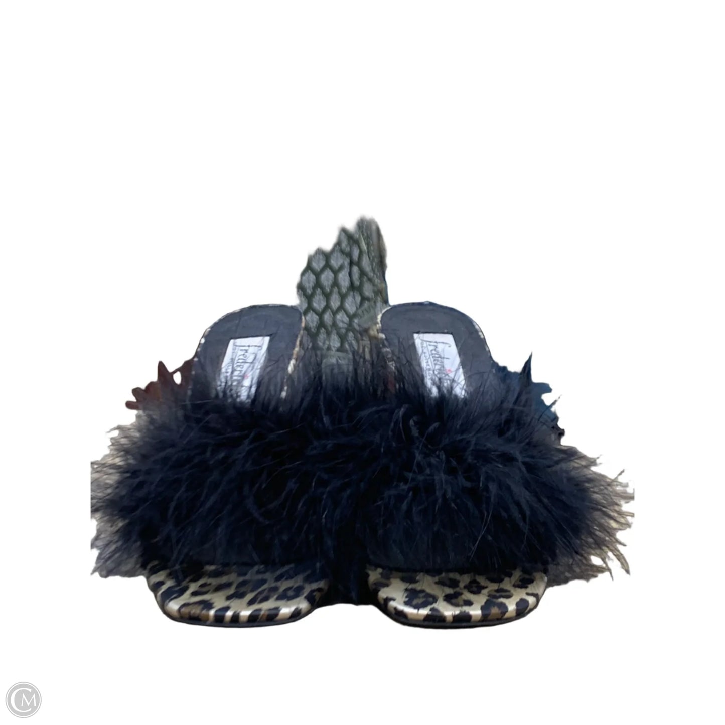 Shoes Heels Kitten By Clothes Mentor In Animal Print, Size: 7