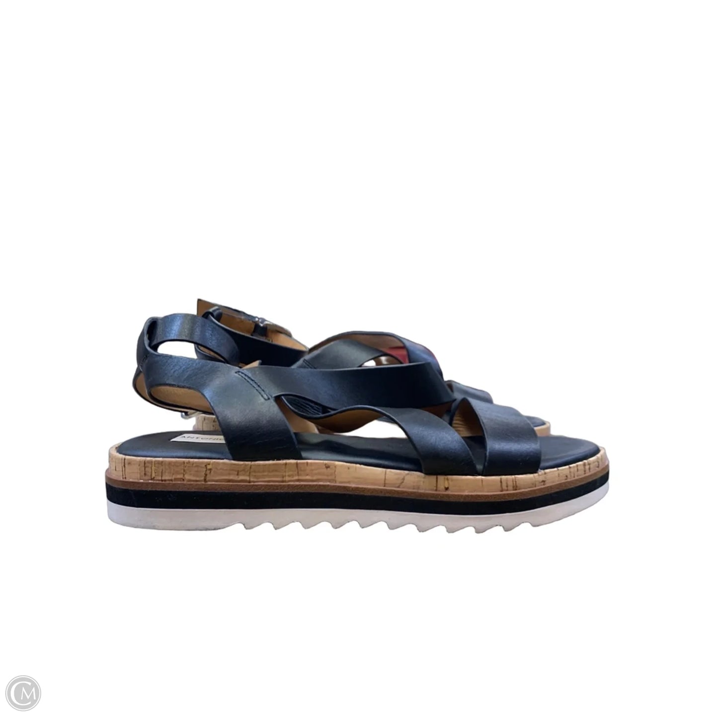 Sandals Flats By Antonio Melani In Black, Size: 8