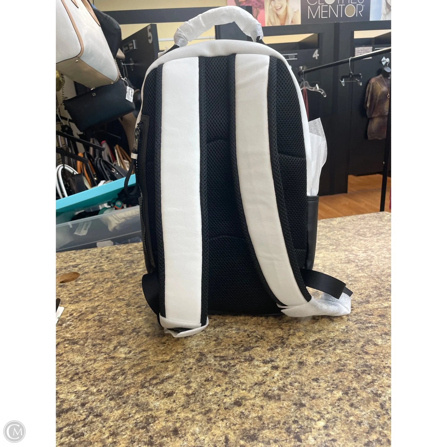 Backpack Designer By Coach, Size: Large
