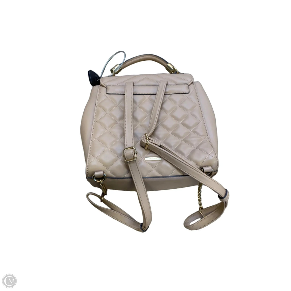 Backpack By Aldo, Size: Small