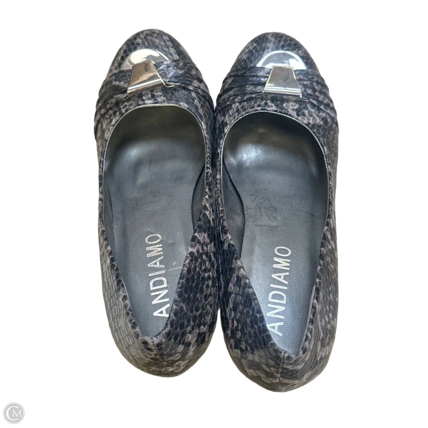 Shoes Heels Block By Andiano In Snakeskin Print, Size: 7.5