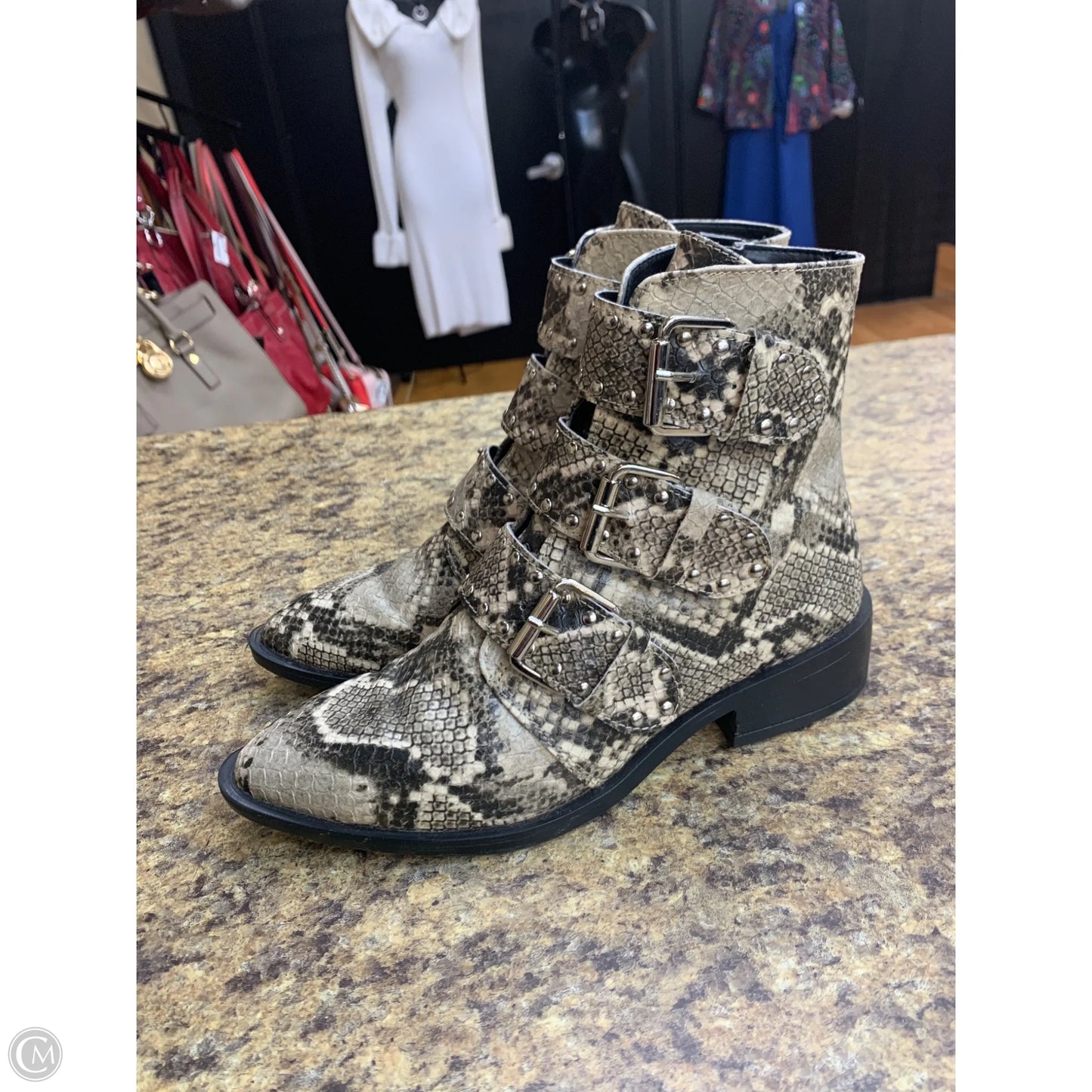 Boots Ankle Flats By Steve Madden In Snakeskin Print, Size: 6