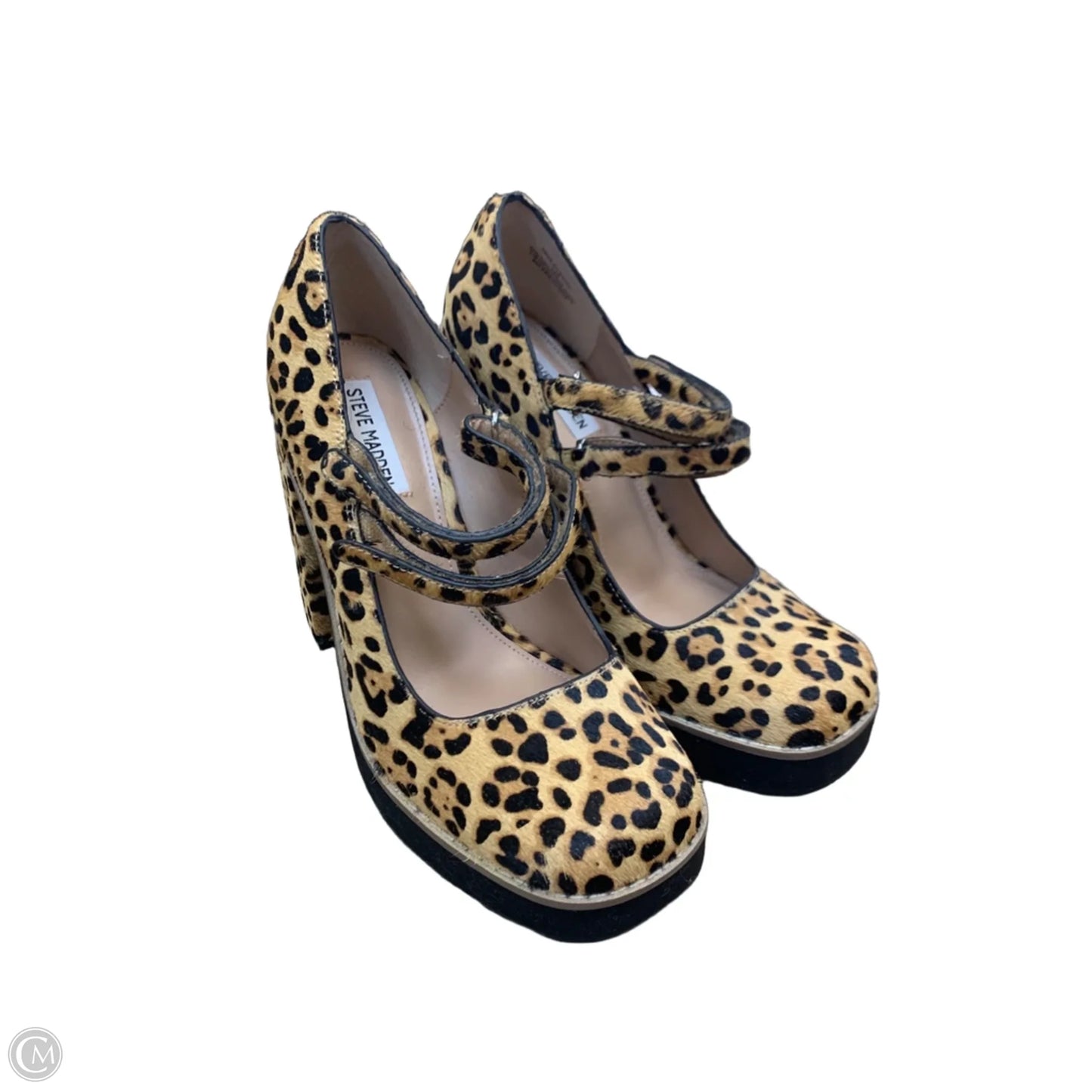 Shoes Heels Block By Steve Madden In Animal Print, Size: 8.5